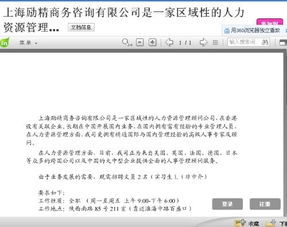 解析上海勵(lì)精商務(wù)咨詢有限公司的企業(yè)性質(zhì) 專業(yè)的商務(wù)服務(wù)窗口